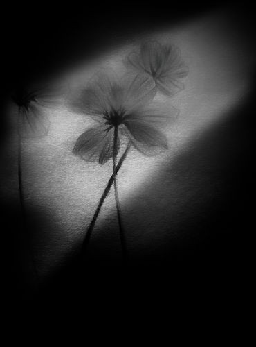 绝望心境的视觉诠释 阴郁天空下孤独行走的剪影,身影渺小映衬出内心的孤立与绝望